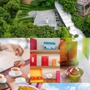黄埔红岭头红茶创意园 - 广州市旅游 缩略图 2
