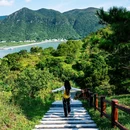 虎山观景台 - 香港特别行政区旅游 缩略图 6