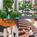沙洲优黄文化园 - 苏州市旅游 缩略图 1