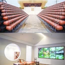 沙洲优黄文化园 - 苏州市旅游 缩略图 4