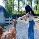 北京野生动物园 - 北京市旅游 缩略图 2