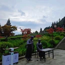 云顶茶乡风景区 - 巴中市旅游 缩略图 5