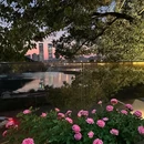 溪山云境森林音乐餐厅(湖景店) - 长沙市旅游 缩略图 5