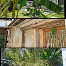 莫干山依山依水·设计师名宿 - 湖州市旅游 缩略图 2