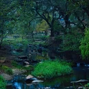 西河古村落景区 - 信阳市旅游 缩略图 3