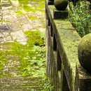龙椅山植物园 - 成都市旅游 缩略图 5