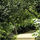 龙椅山植物园 - 成都市旅游 缩略图 6