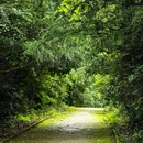 龙椅山植物园 - 成都市旅游 缩略图 7