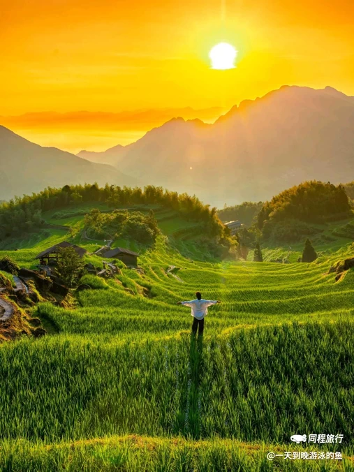 云和梯田景区 - 丽水市旅游