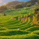 云和梯田景区 - 丽水市旅游 缩略图 6