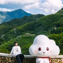 云和梯田景区 - 丽水市旅游 缩略图 9