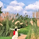 中和湿地公园-2号门 - 成都市旅游 缩略图 1