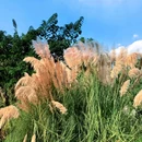 中和湿地公园-2号门 - 成都市旅游 缩略图 5