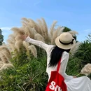 中和湿地公园-2号门 - 成都市旅游 缩略图 8