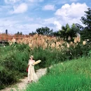 中和湿地公园-2号门 - 成都市旅游 缩略图 6