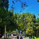 八大关景区 - 青岛市旅游 缩略图 8