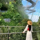 新加坡 - 海外旅游 缩略图 5