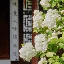 苏州金鸡湖凯宾斯基大酒店 - 苏州市旅游 缩略图 4