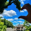 长沙梅溪湖金茂豪华精选酒店 - 长沙市旅游 缩略图 3