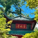 长沙梅溪湖金茂豪华精选酒店 - 长沙市旅游 缩略图 2