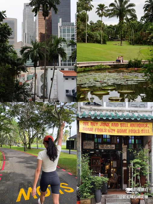 新加坡 - 其他旅游