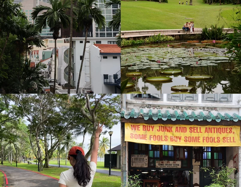 新加坡 - 其他旅游 1