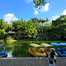 柳侯公园 - 柳州市旅游 缩略图 5