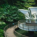 云萝植物园 - 广州市旅游 缩略图 5