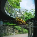 云萝植物园 - 广州市旅游 缩略图 7