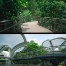 云萝植物园 - 广州市旅游 缩略图 6