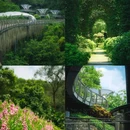 云萝植物园 - 广州市旅游 缩略图 8