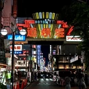 日本 - 海外旅游 缩略图 8