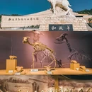 八坊十三巷 - 临夏回族自治州旅游 缩略图 7