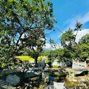 土冚 - 广州市旅游 缩略图 5