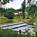 土冚 - 广州市旅游 缩略图 6
