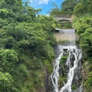 天竺山森林公园 - 厦门旅游 缩略图 5