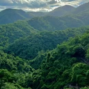 天竺山森林公园 - 厦门旅游 缩略图 6