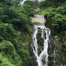 天竺山森林公园 - 厦门旅游 缩略图 7