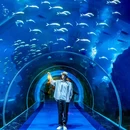 华夏城 - 威海市旅游 缩略图 7