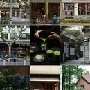 Madre - 上海市旅游 缩略图 1