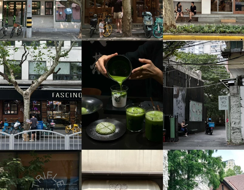 Madre - 上海市旅游 1
