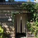南京杨柳湖风景区 - 南京旅游 缩略图 4