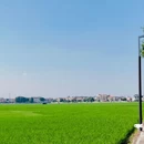崖口村 - 中山市旅游 缩略图 7