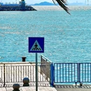 桂山岛游客中心 - 珠海市旅游 缩略图 7