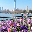 南京站 - 南京市旅游 缩略图 2