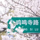 南京站 - 南京市旅游 缩略图 3