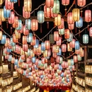 上饶铅山葛仙山度假区 - 上饶市旅游 缩略图 5