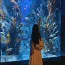 新加坡 - 海外旅游 缩略图 5