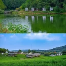 茅山森林世界 - 常州市旅游 缩略图 7