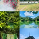 淄博博山天隆宾馆(红叶柿岩店) - 淄博市旅游 缩略图 7